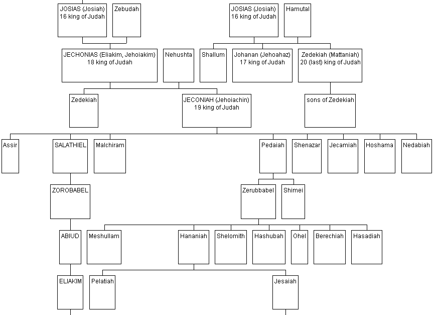 genealogy of adam. reflection of family tree